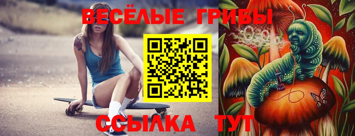 купить наркотики сайты  Вход с VPN  Елабуга  Псилоцибиновые грибы Psilocybe 